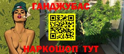 дмт Нарткала