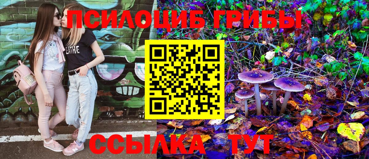 Галлюциногенные грибы GOLDEN TEACHER Сибай
