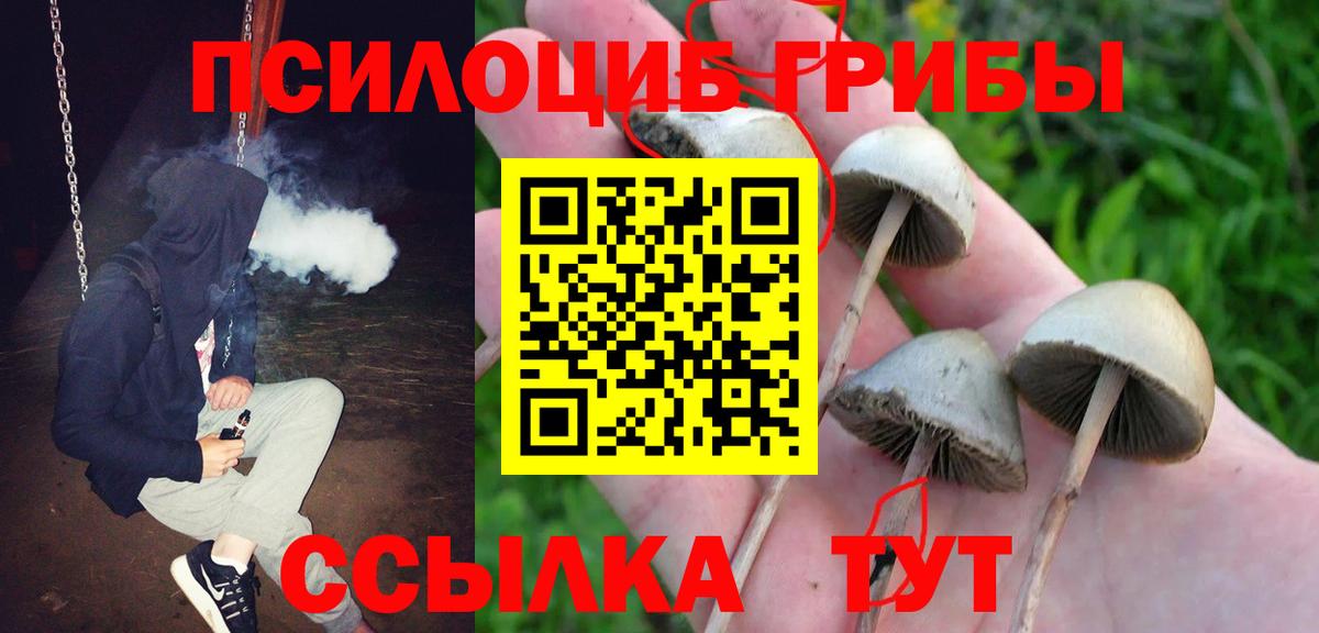 Сибай  купить закладку  Вход с VPN  Псилоцибиновые грибы MAGIC MUSHROOMS 